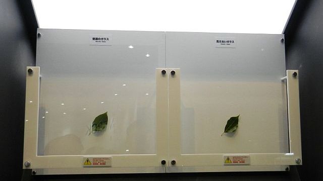 Koniec z refleksami świetlnymi na ekranach LCD? 1