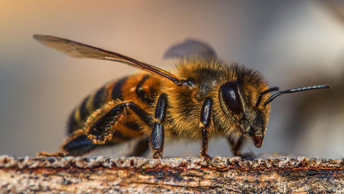 Zdjęcie ilustrcyjne. 