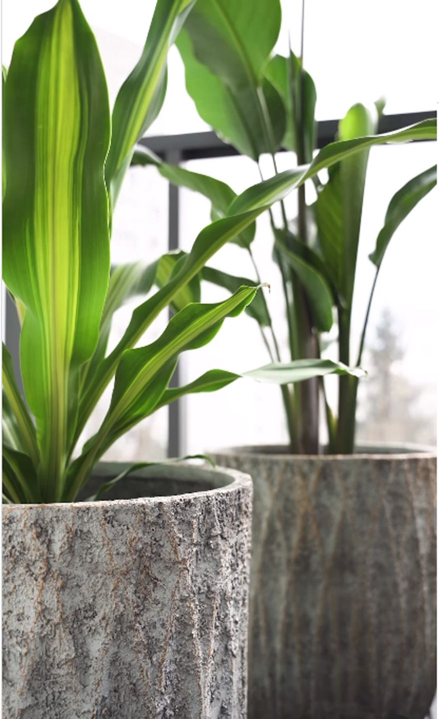 Katarzyna Cichopek urządziła balkon na wiosnę