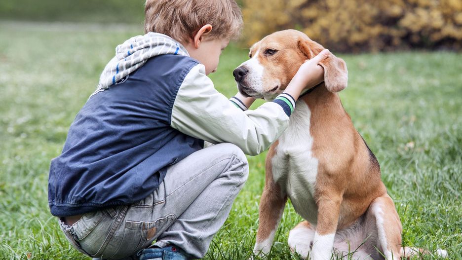 pies ma na imię tak jak moje dziecko