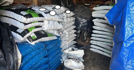 Ukradł 26 ton węgla. Przez rok wywoził worki fiatem seicento