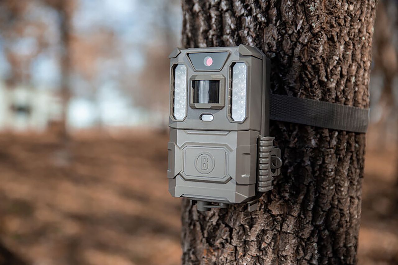Fotograf sprawdzał kamerę terenową w lesie. Znalazł zwłoki