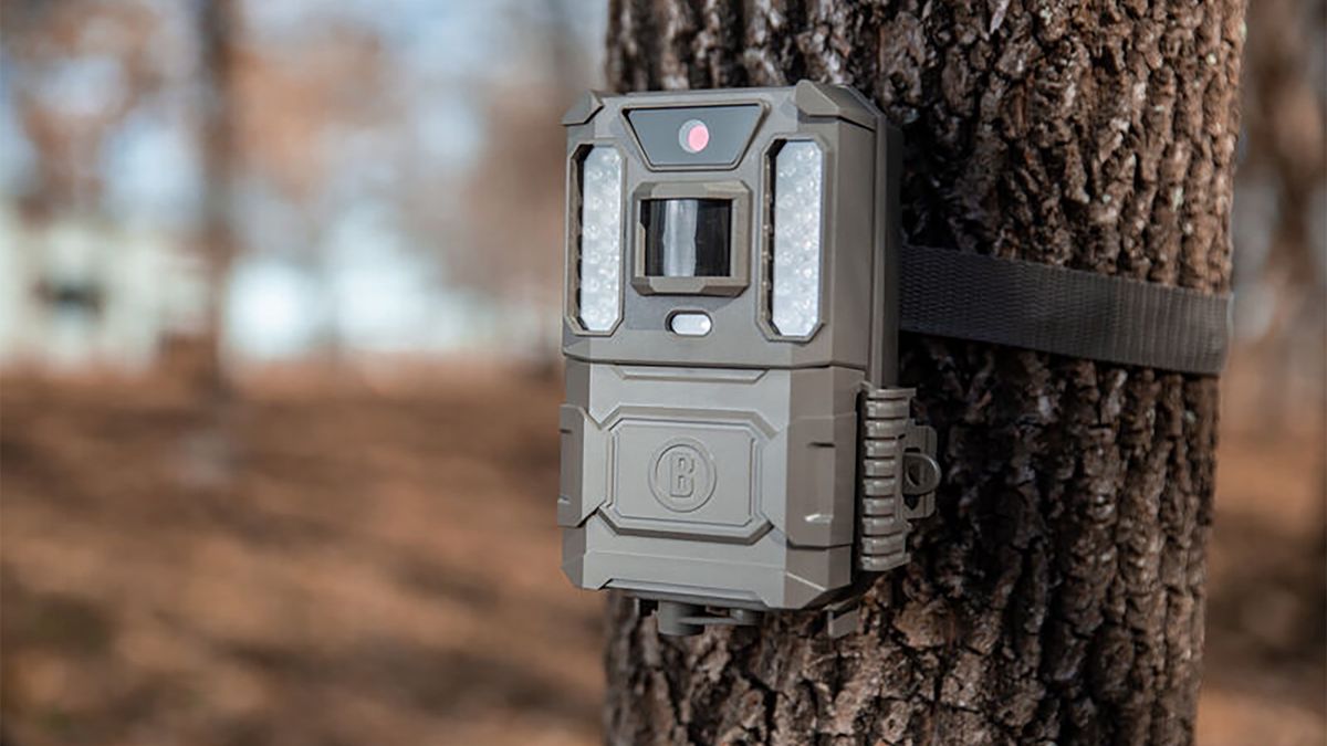 Kamery terenowe stały się ostatnio bardzo popularne.