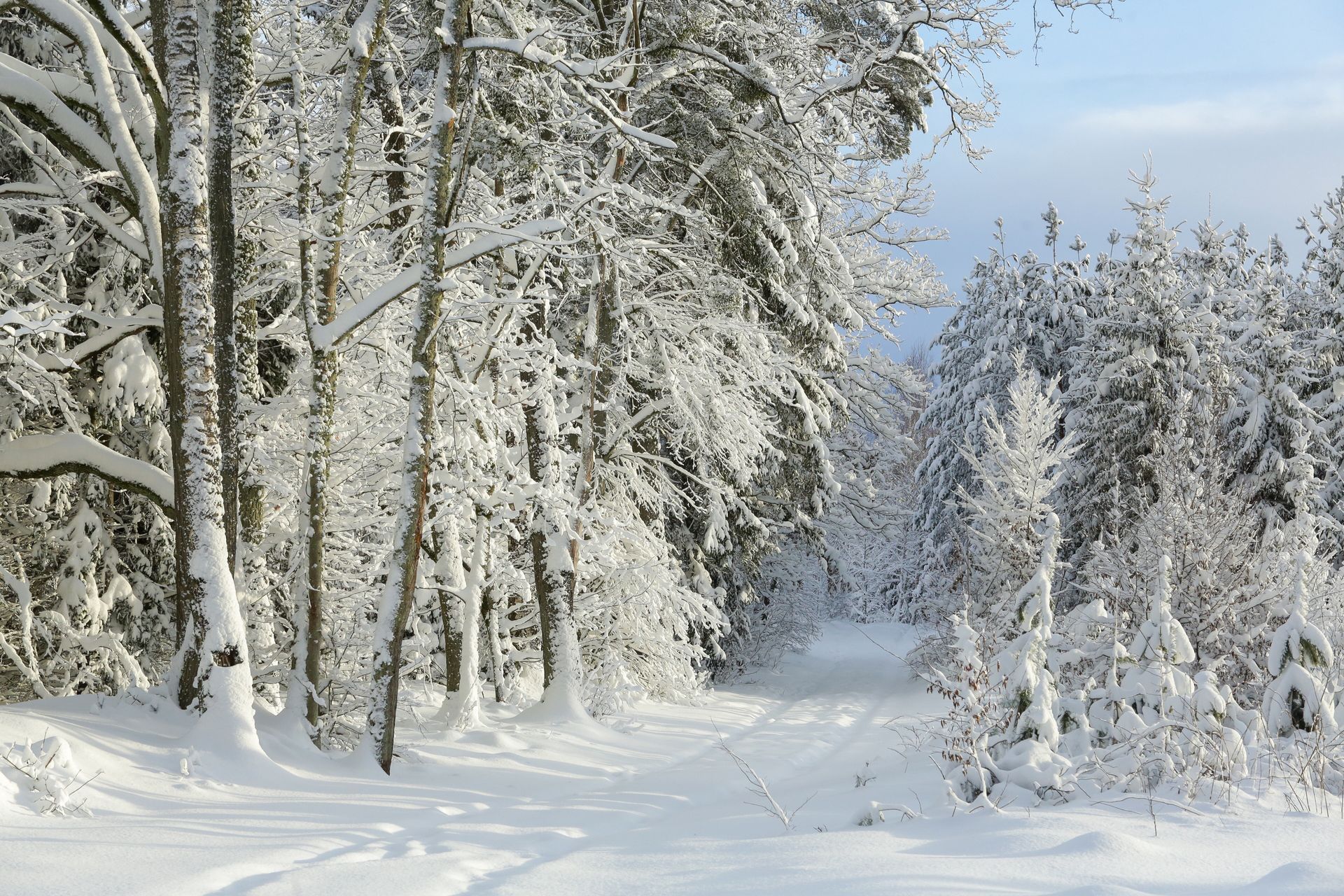 wiadomości,aktualności,WP Wiadomości Zima w Polsce. Szok i niedowierzanie
