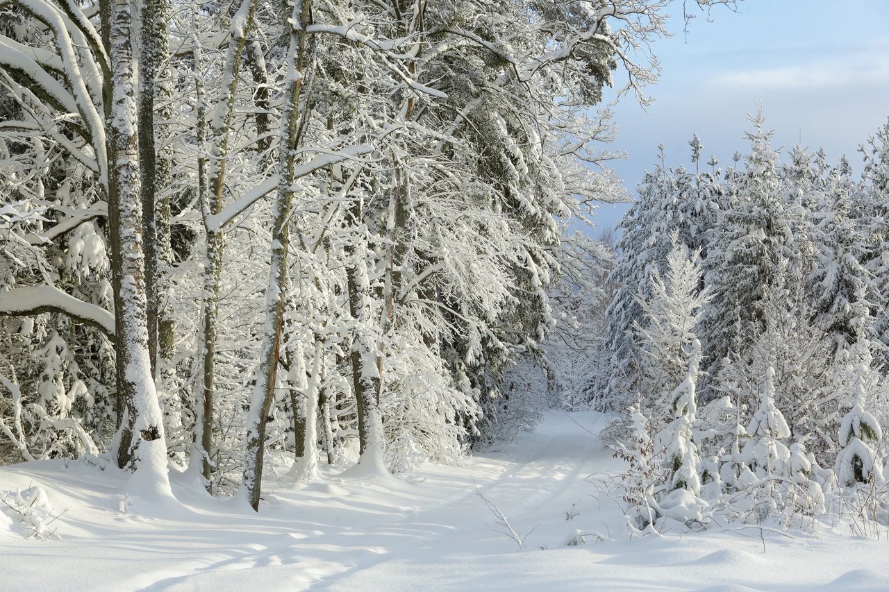 Zima w Polsce. Szok i niedowierzanie