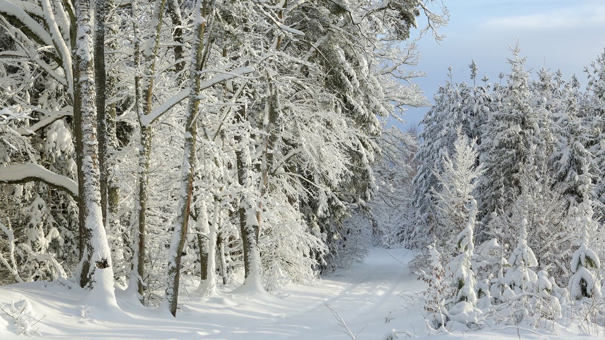 Okolice Olsztyna, 31.12.2025. Droga nr. 598 w okolicy miejscowości Zazdrość pod Olsztynem, 31 bm. W województwie warmińsko-mazurskim wciąż utrzymują się intensywne opady śniegu. Warunki na drogach są ekstrealnie trudne. (ad) PAP/Tomasz Waszczuk