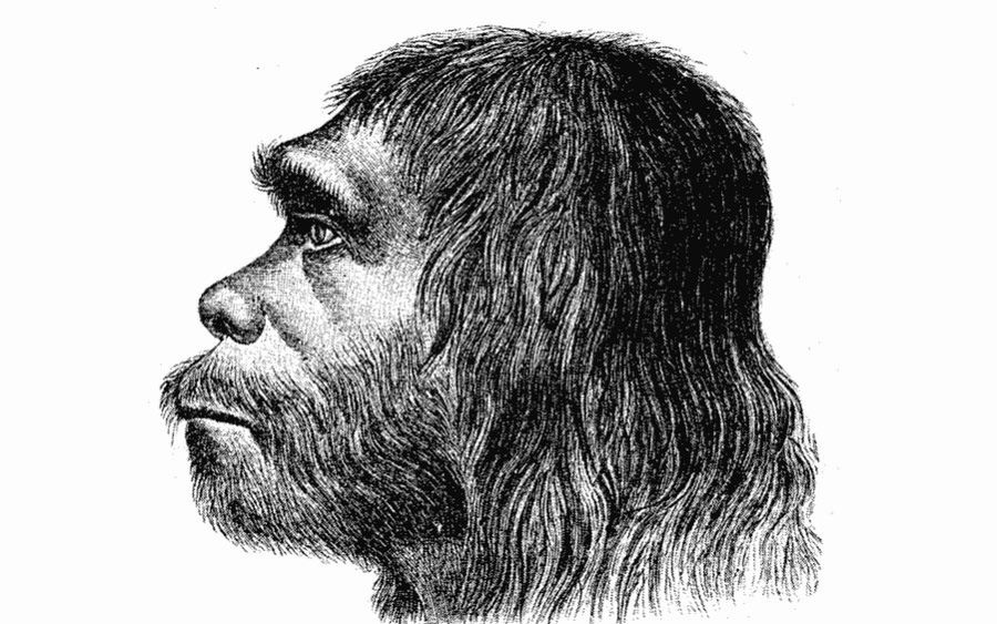 Neandertalczycy odziedziczyli geny od nieznanej populacji przodków współczesnego człowieka