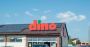 Kontrole w Dino. Doszło do setek interwencji. Służby ujawniają