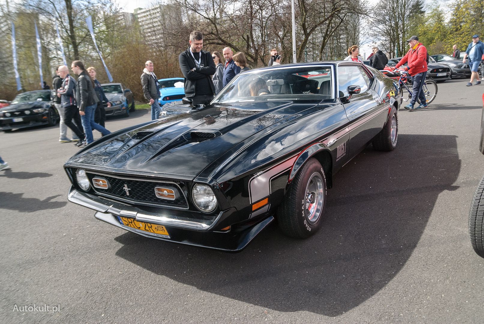 XV Ogólnopolski Zlot Mustangów
