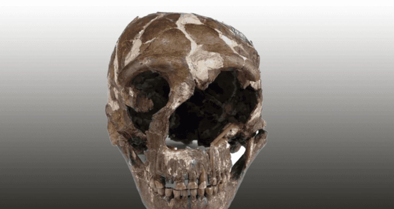 Czaszka neandertalczyka sprzed 170 tys. lat