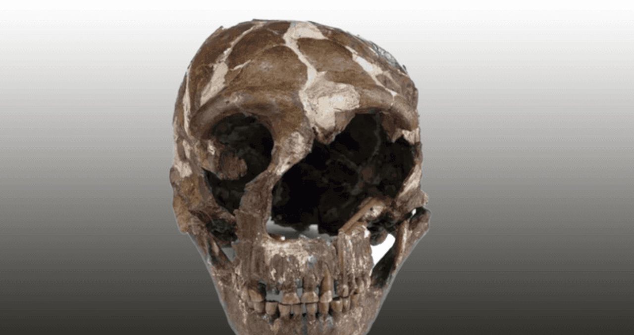 Neanderthal skull from 170 thousand years ago