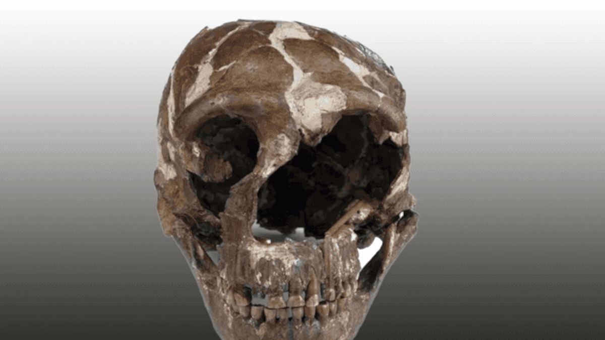 Czaszka neandertalczyka sprzed 170 tys. lat