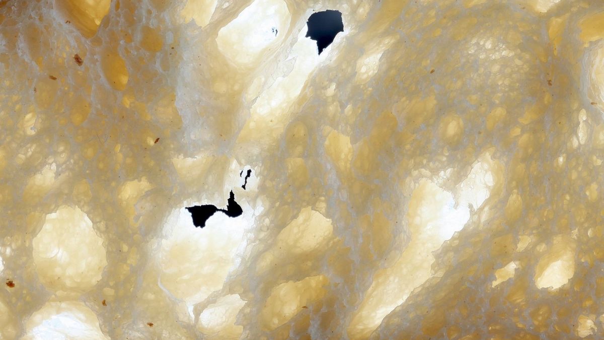 Azodikarbonamid jest dodawany do pieczywa