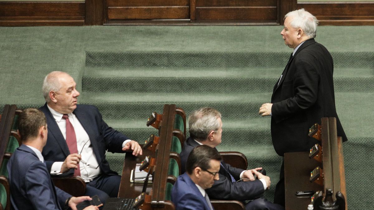 Rząd Prawa i Sprawiedliwości ma twardy orzech do zgryzienia: dotrzymać obietnic wyborczych, czy zamrozić płacę minimalną ratując tym przedsiębiorców?