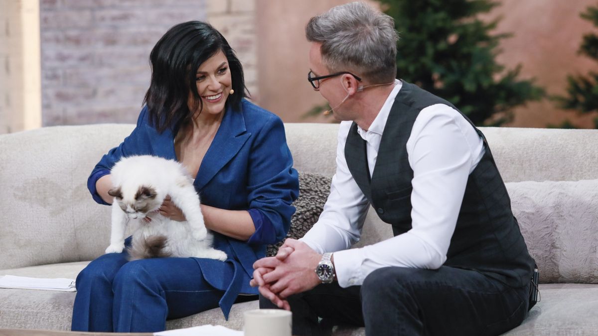 Katarzyna Cichopek, Maciej Kurzajewski