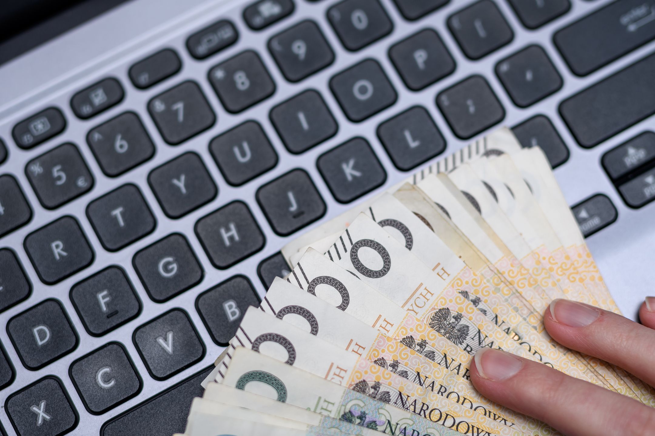 e-commerce, stos, plik, rulon, kasa, gotówka, polska, pln, waluta, zakupy w internecie, sprzedaż w internecie, handel w internecie, online, grafik, informatyk, naprawa, wirus, handel online, podatek, laptop, komputer, klawiatura, technologia, klawisz, cyberprzestrzeni, okup, haker, oszust, internet, w sieci, bliska, wyciek danych, przelew bankowy, lokata bankowa, bitcoin
