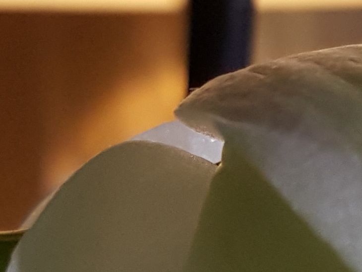 Samsung Galaxy S7 - przykładowe zdjęcia i szybkie porównanie z Galaxy S6 25