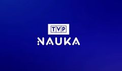 TVP chce zlikwidować cztery kanały. Propozycja stacji TVP Festiwale