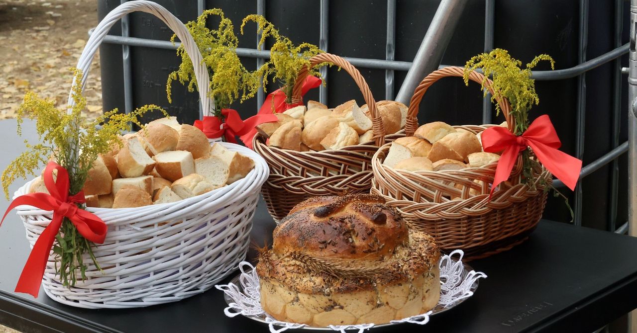 Rolnicy szykują się na wielkie święto. Minister mówi o ukoronowaniu pracy wsi