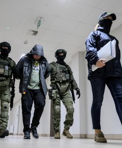 Wielka akcja trzech służb. Media: Liczne zatrzymania