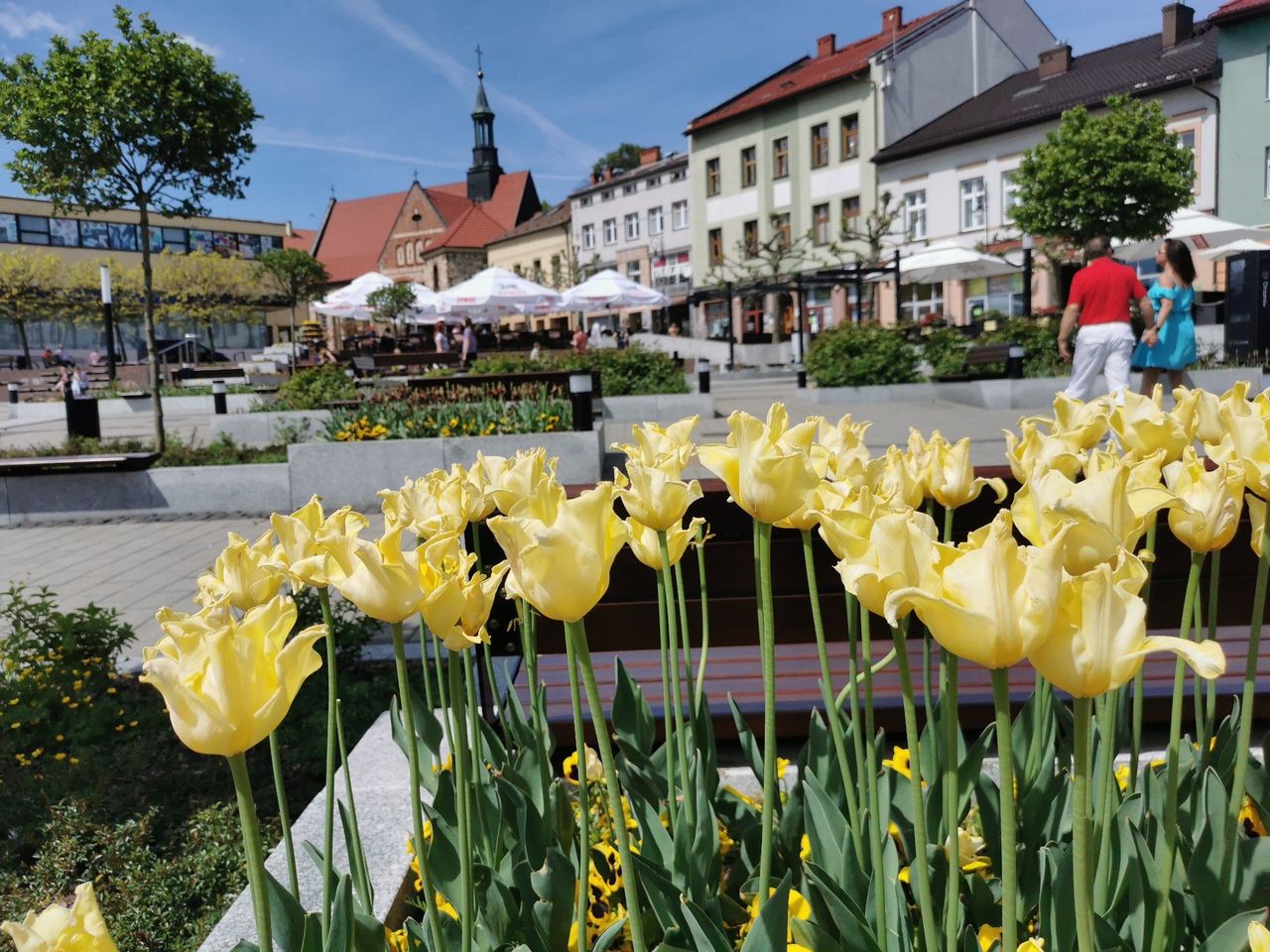 Chrzanów: Najlepsze miasto do życia w Małopolsce