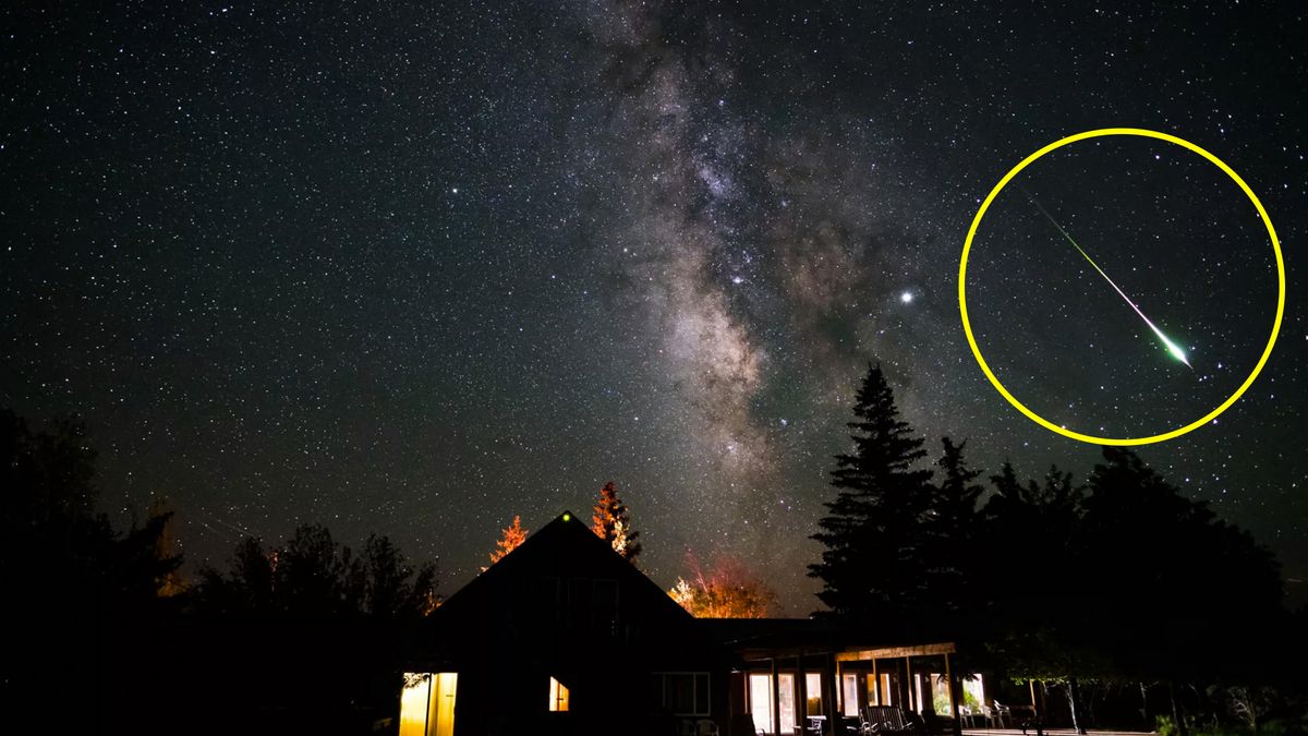 Włączył aparat i zasnął. Gdy się obudził, nie mógł uwierzyć 1