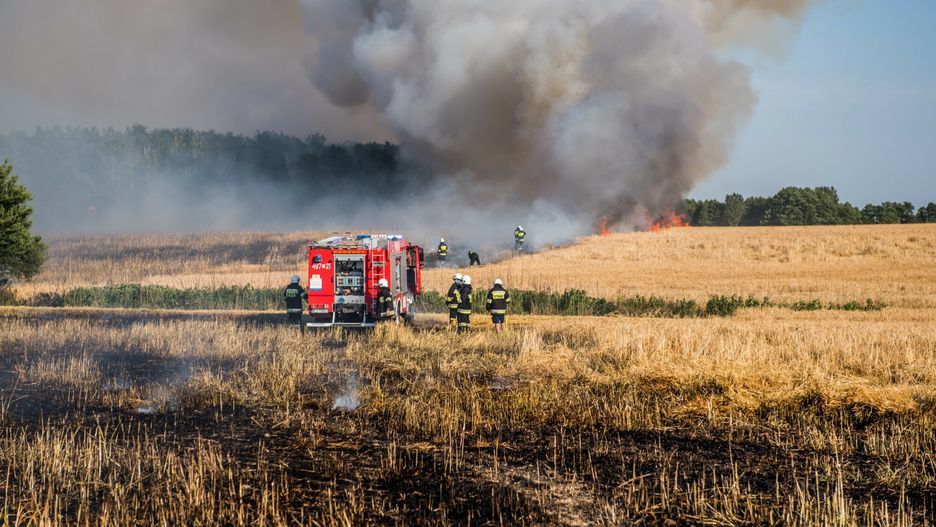Po?ar p�l na Podlasiu
01.07.2019 - Hruszniew, pozar pol Jeczmienia Ozimego podczas suszy   N/z pozar, straz | Fot. Marcin Bruniecki/REPORTER
Marcin Bruniecki/REPORTER