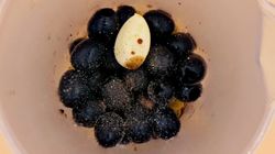 Czy oliwki są zdrowsze od oliwy? Oto co się zmieni, gdy je włączysz do diety