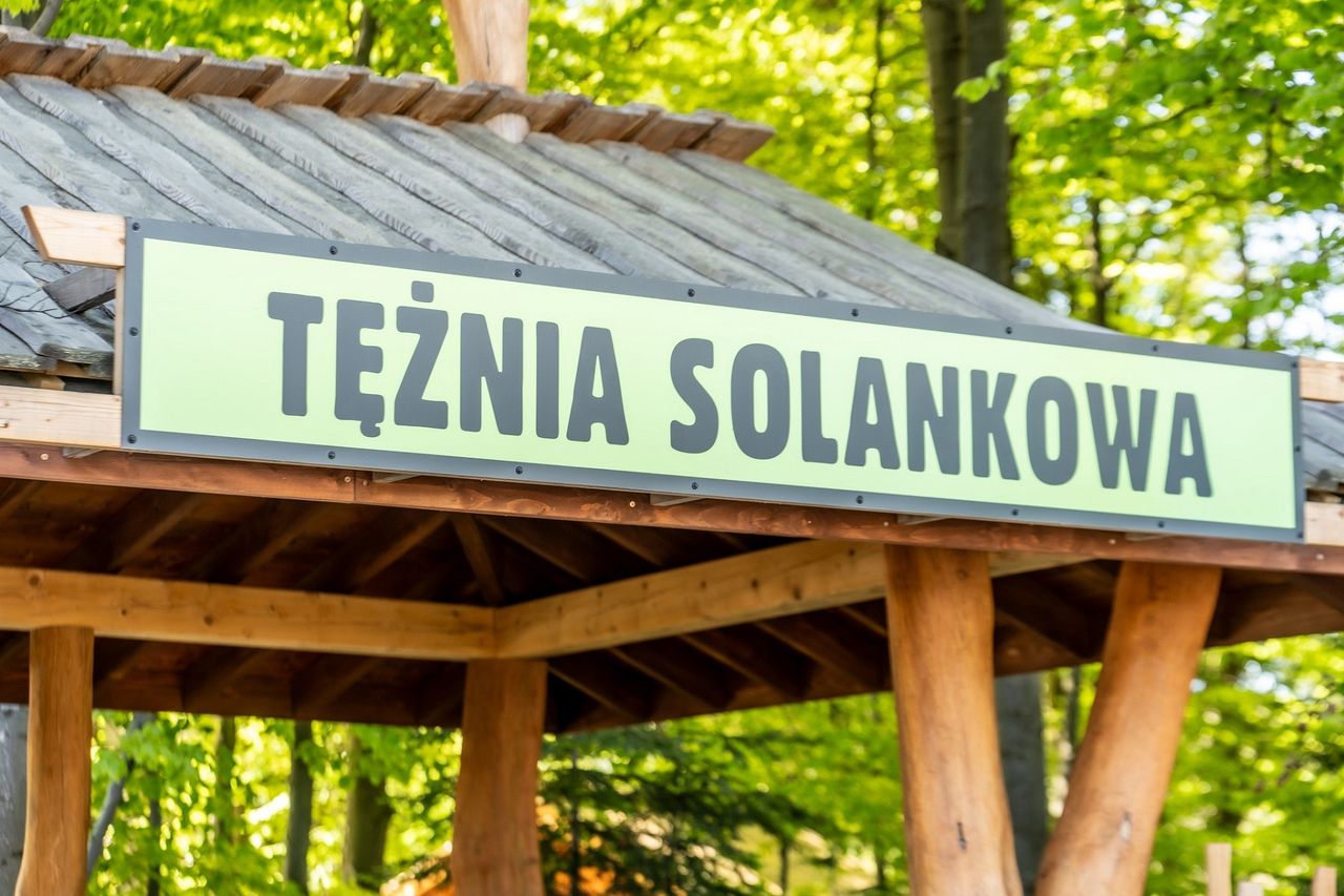 Tężnie solankowe - spacer po zdrowie