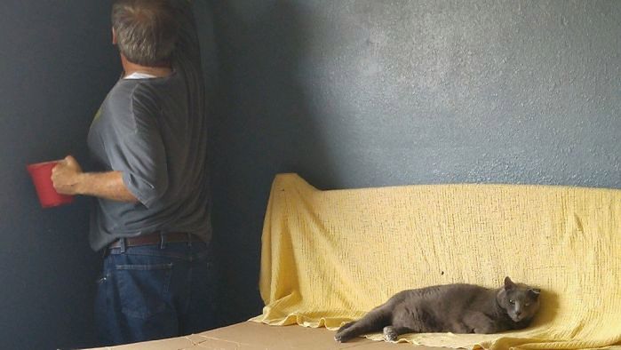 Przypadkowy renesans: Jak robić zdjęcia przypominające obrazy? 8