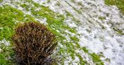 Po zimnej nocy nadchodzą opady i niebezpieczne zjawiska pogodowe