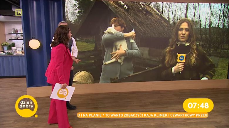 Wpadka za wpadką w czwartkowym "Dzień Dobry TVN"