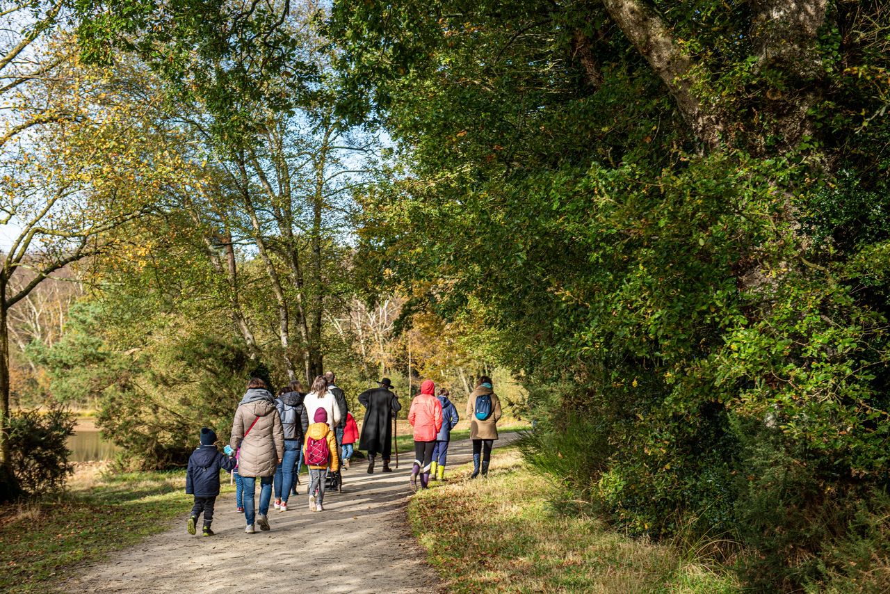 "Małe Bieszczady" - poznaj najpiękniejsze trasy i historię turystyki w regionie. Zapraszają na jesienne spacery po Wzgórzach Dalkowskich