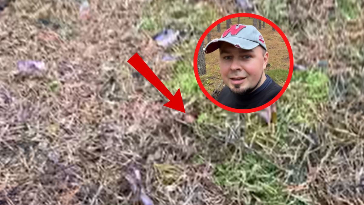 Pokazał nagrania z lasu. 