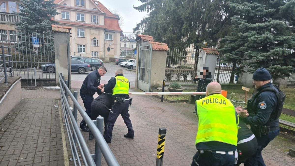 policja