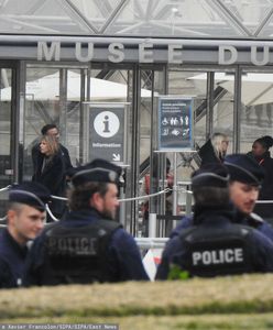 Izraelska firma ma pomóc znaleźć złodziei z Luwru?