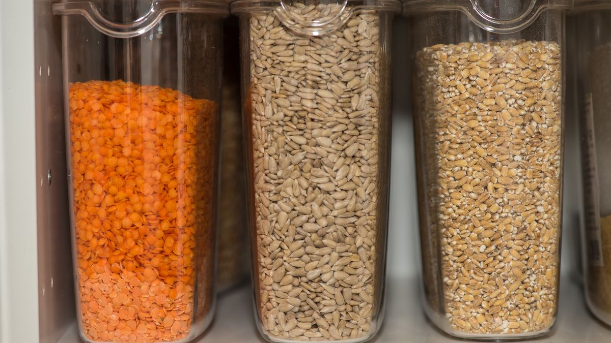 Closeup of grains in storage jars in a pantry
A closeup of grains in storage jars in a pantry
Wirestock
grain, seeds, storage, jars, glass, raw, fresh, healthy, natural, tasty