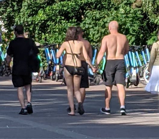 Golasy na deptaku w gdańskim Brzeźnie