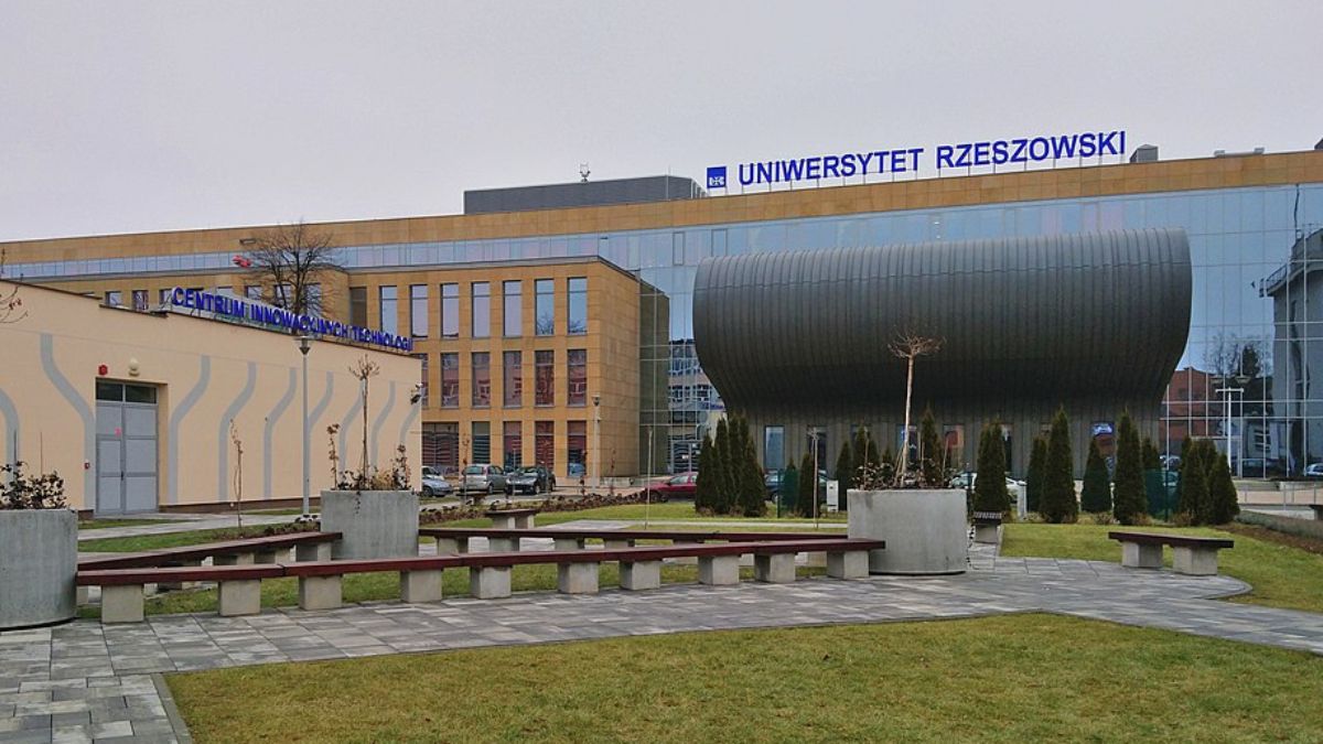 Bunt wykładowców na Uniwersytecie Rzeszowskim. 