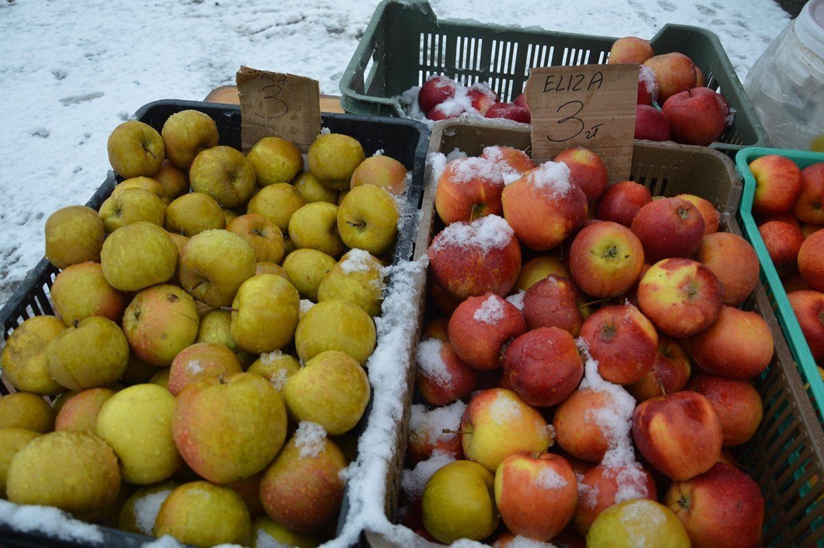 Produkcja jabłek w Polsce