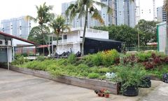 Warszawa. Rusza program "Ogrody społecznościowe na Ursynowie"