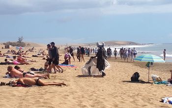 Igrają z policją w Hiszpanii. Turyści nie wiedzą, że też mogą być ukarani