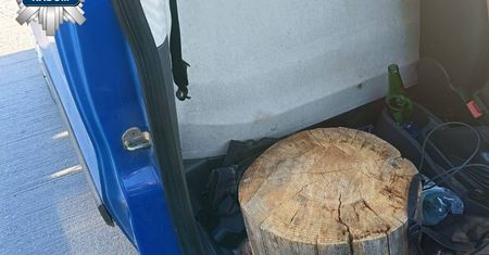 Radom: Pasażer siedział na pniu drzewa zamiast na fotelu. Nietypowa kontrola drogowa zakończyła się mandatami!