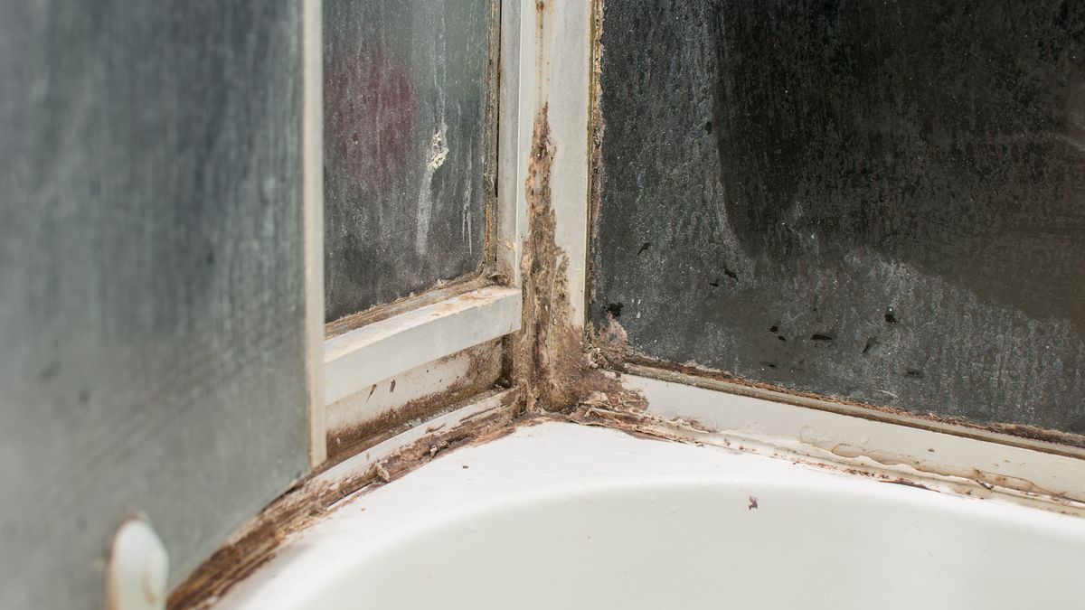 Domowy sposób na brudną kabinę prysznicową