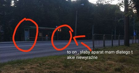 Roztrzaskana szyba na przystanku autobusowym. Małoletni wandal po wszystkim wsiadł do trolejbusu i odjechał
