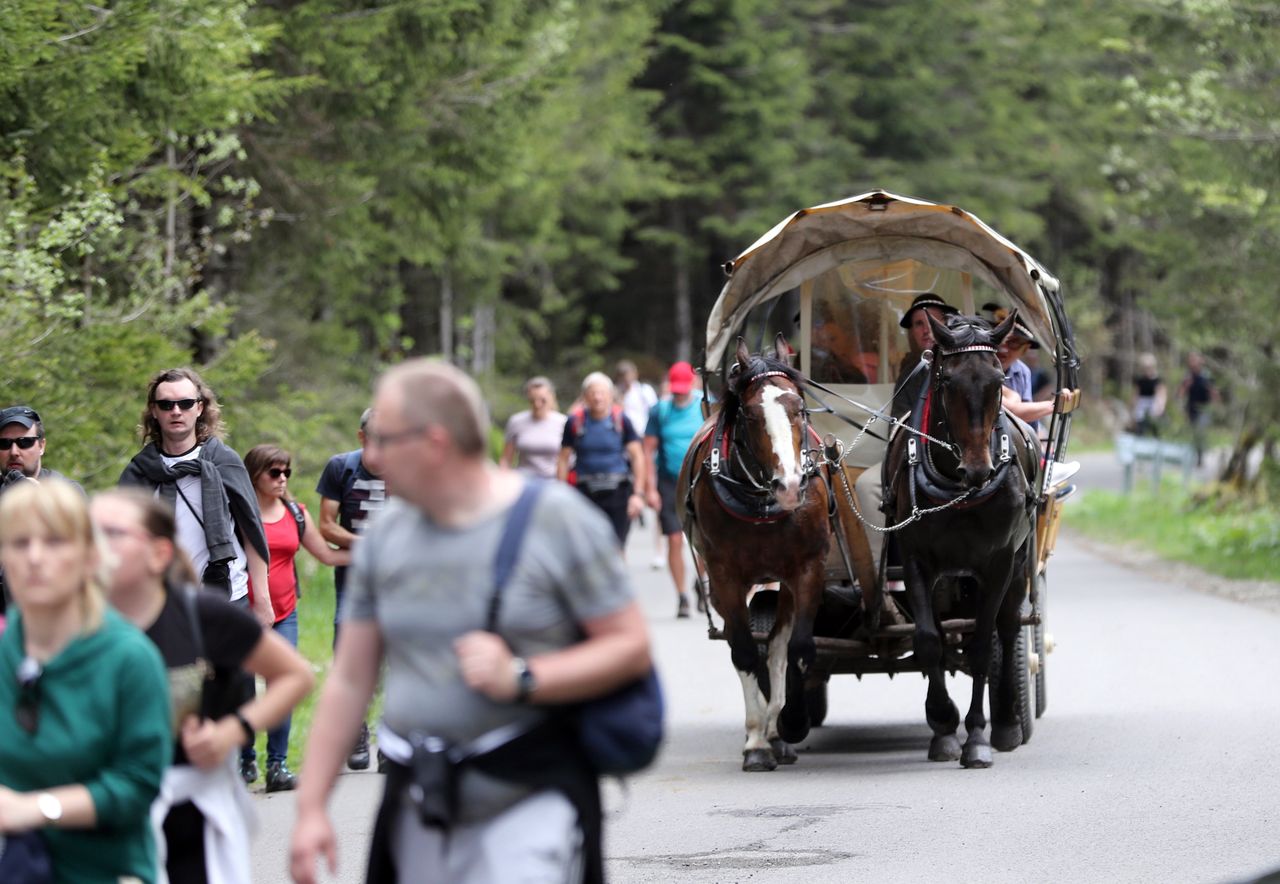 Umierają po pracy na trasie do Morskiego Oka. Szokujący raport