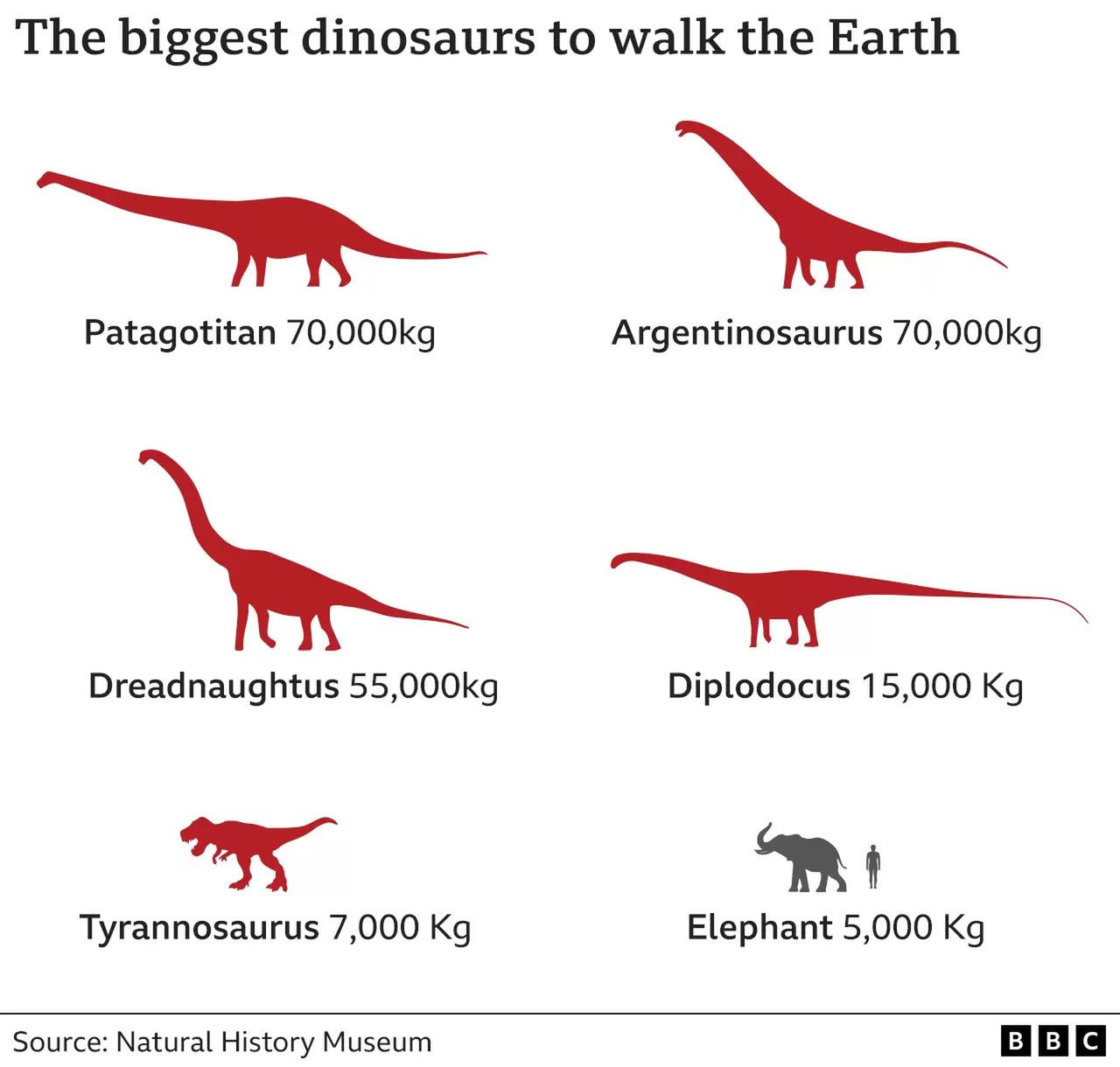 Comparison of sizes