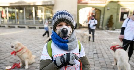 WOŚP 2021. Poznań opanowały psy