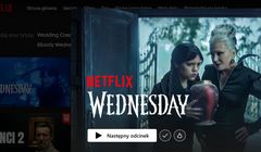 Rekordowa popularność subskrypcji streamingowych z reklamami