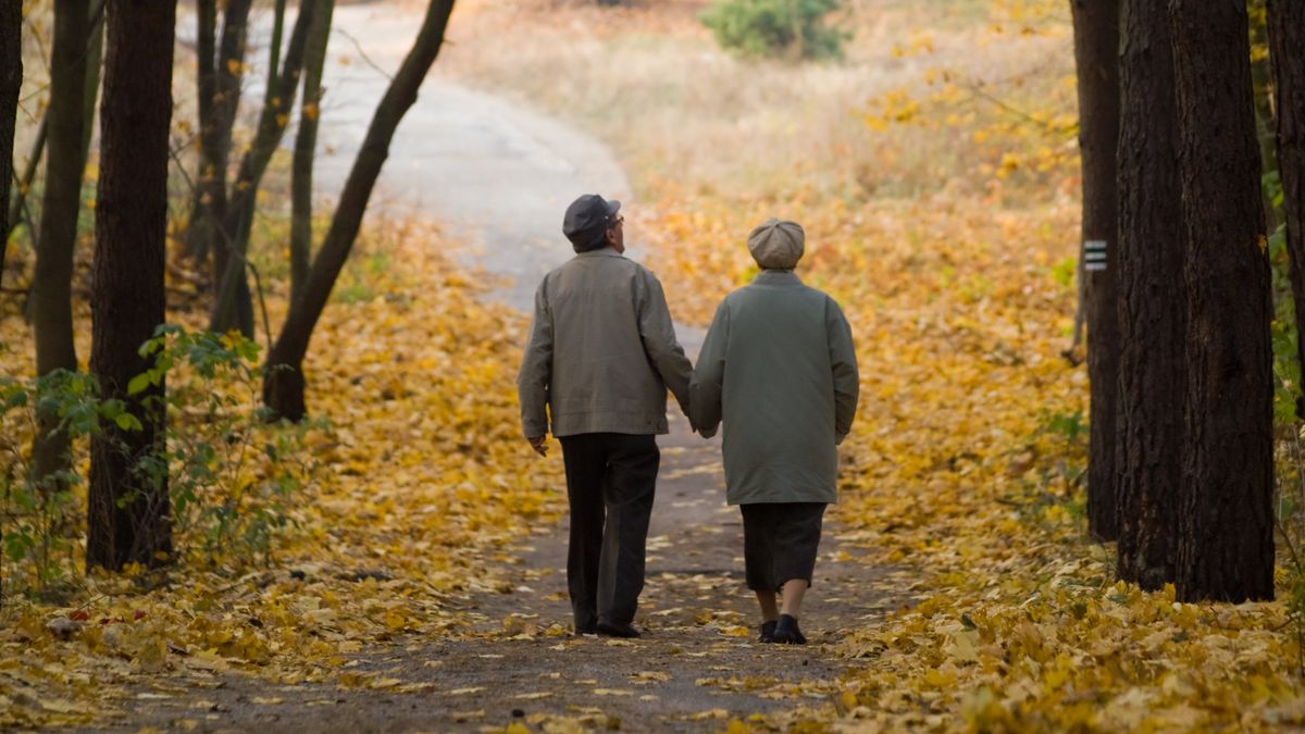 SONY DSC
na emeryturze, seniorzy, para, park, senior, sezon, babcia, dziadek, emeryt, rekreacja, relaks, razem, spokojny, żona, stary